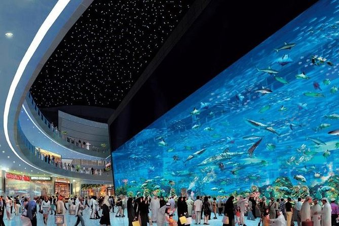 Dubai City Tour From Abu Dhabi - Exploring Dubai Mall