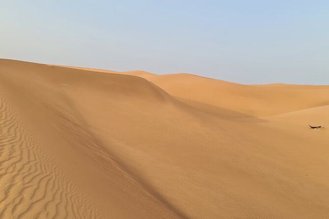 Dubai Desert 4x4 Dune Bashing, Self-Ride 30min ATV Quad, Camel Ride,Shows,Dinner - Cancellation Policy