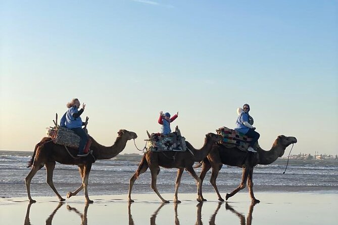 Essaouira Private Camel Ride (1 Hour). - Accessibility and Medical Conditions