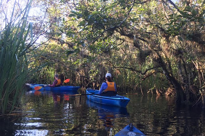 Everglades Kayak Safari Adventure Through Mangrove Tunnels - Guided by a Naturalist