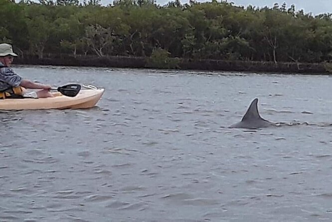 Guided Wildlife Eco Kayak Tour in New Smyrna Beach - Public Transportation Accessibility