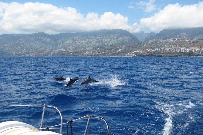 Half-Day Catamaran Trip From Funchal - Snorkeling Equipment Rental
