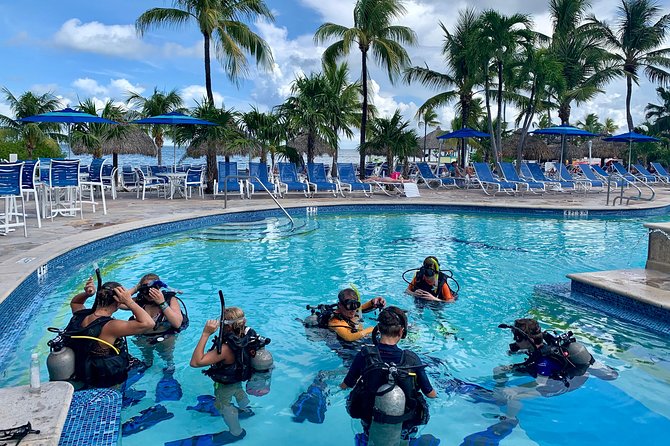Half Day Scuba Diving Trip in the Florida Keys - Activity Duration