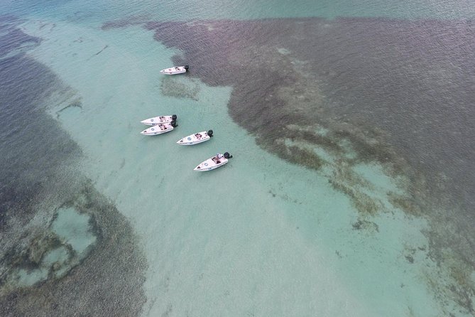 Key West Safari Eco Sandbar Tour Adventure With Snorkeling - Tour Highlights