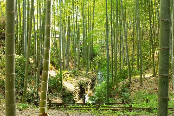 Kyoto : Immersive Arashiyama and Fushimi Inari by Private Vehicle - Transportation and Pickup Details