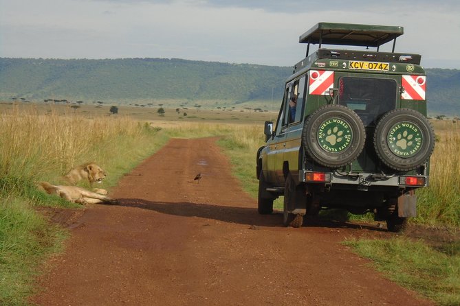 Lake Nakuru, Naivasha & Masai Mara 4 Days Private Jeep Safari - Wildlife Sightings