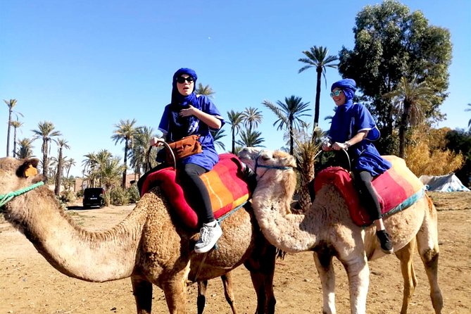 Marrakech Camel Ride & Quad Bike Experience in the Oasis Palmeraie - Inclusions and Exclusions of the Tour