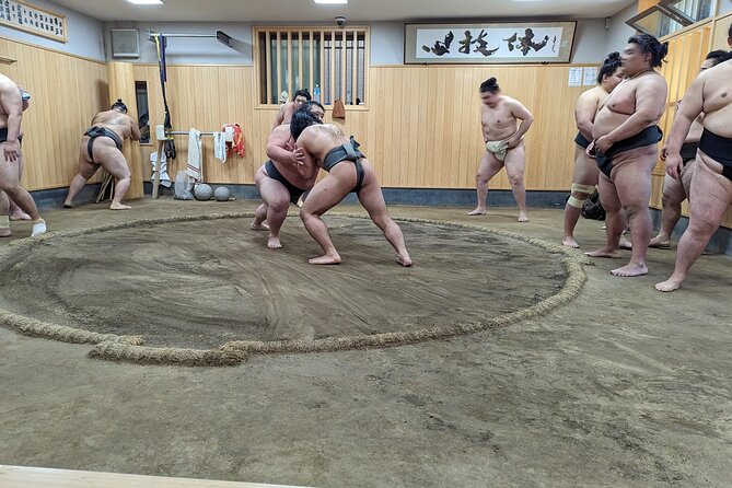 Morning Sumo Practice Viewing in Tokyo - Cancellation Policy