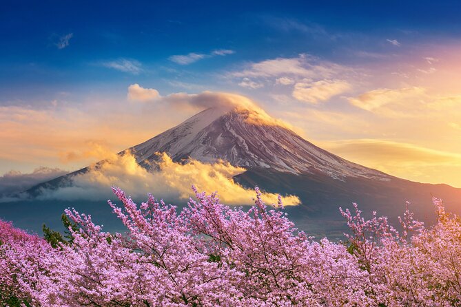 Mount Fuji Private Trip From Tokyo by Car/Van - in English - Cancellation Policy