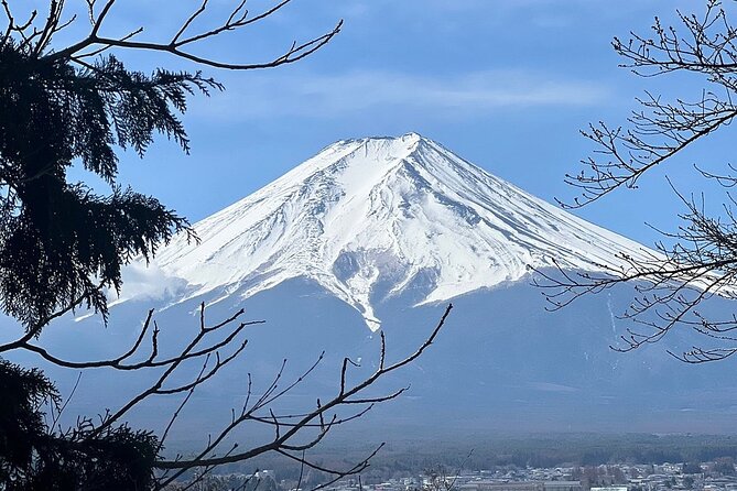 Mt. Fuji and Lake Kawaguchi Day Trip With English Speaking Driver - Vehicle and Driver Information