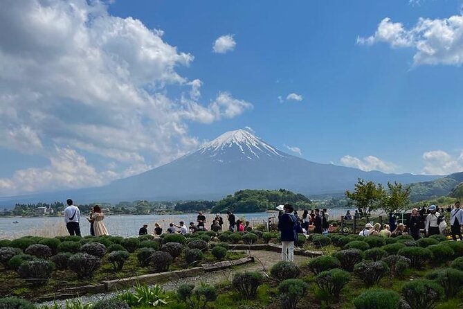 Mt Fuji ( Fuji San) Private Day Tour With English Speaking Driver - English-Speaking Driver Services