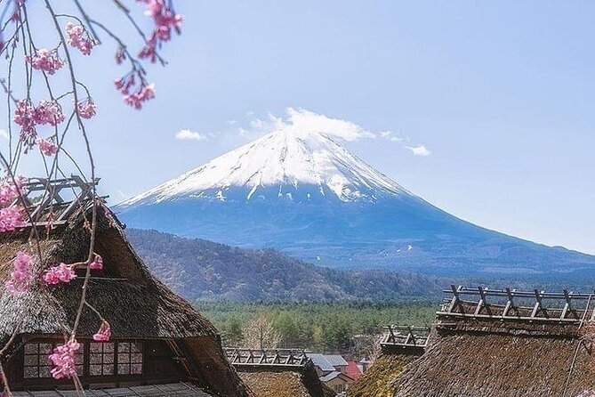 Mt Fuji Sightseeing Private Tour With English-Speaking Driver - Highlights of the Tour