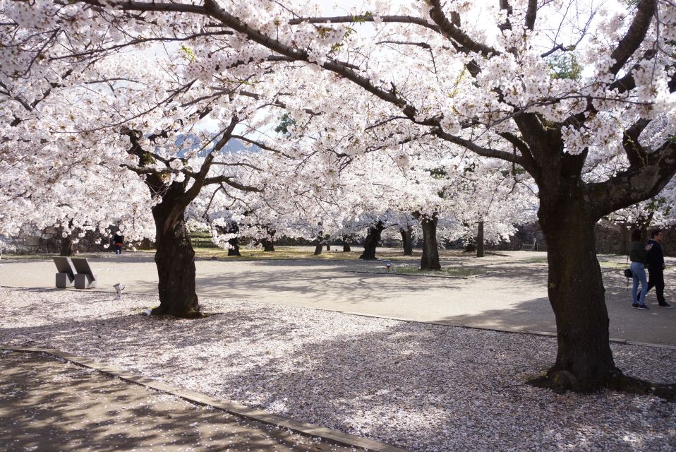 Nagano: 1-Day Snow Monkey & Cherry Blossom Tour in Spring - Potential Alternative Activities