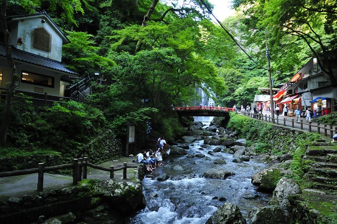 Nature Walk at Minoo Park, the Best Nature and Waterfall in Osaka - Confirmation and Restrictions
