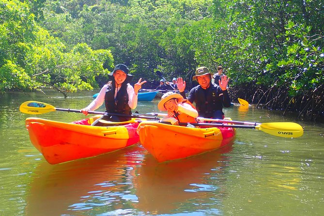 Okinawa Iriomote SUP/Canoe Tour in a World Heritage Site - Tour Accessibility