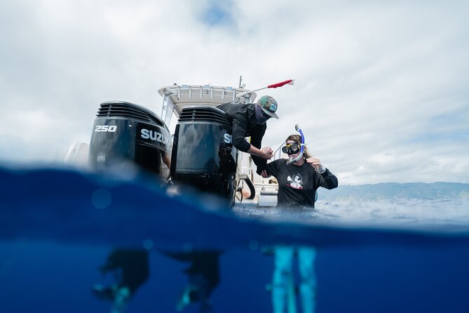 Open Water Shark Dive - Cancellation Policy and Refunds