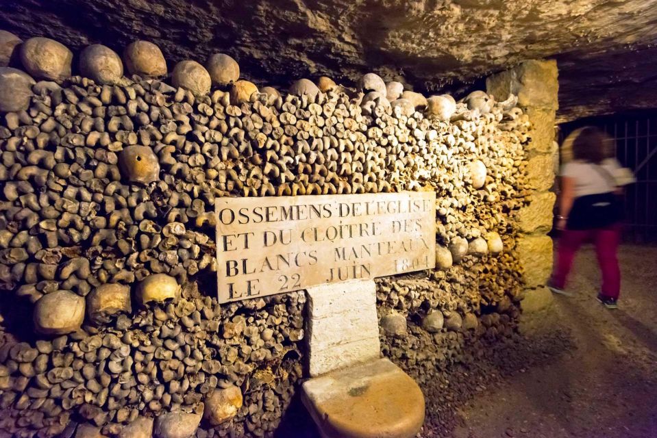 Paris: Skip-the-Line Catacombs Tour and Seine River Cruise - Included Services
