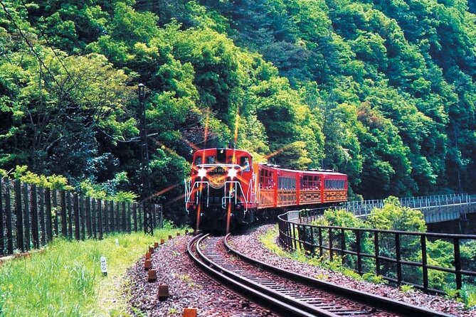 Sagano Romantic Train & Arashiyama, Kiyomizudera, Fushimi Inari Taisha Day Tour - Arashiyama Park Exploration