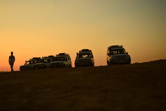 Sunset Safari Trip by Jeep - Discovering Fossils in Wadi Billi