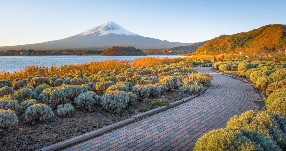 Tokyo: Mt Fuji Day Tour With Kawaguchiko Lake Visit - Taking in Oshino Hakkai