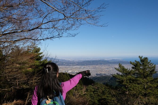 Traverse Outer Rim of Hakone Caldera and Enjoy Onsen Hiking Tour - End Points
