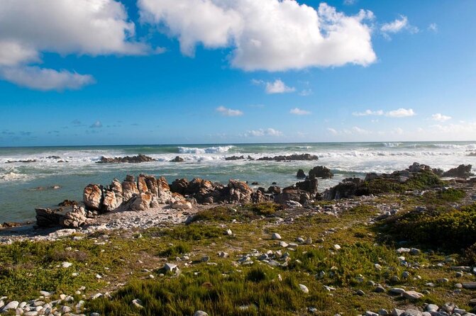 5-Day Garden Route & Addo Adventure From Cape Town to Port Elizabeth - Key Points