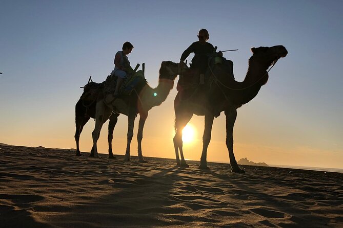 3-Hour Camel Ride at Sunset - Landscape, Flora, and Fauna