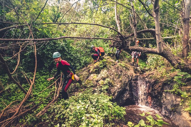 Canyoning With Waterfalls in the Rainforest - Small Groups ツ - Safety Considerations