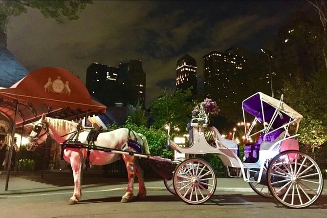 Central Park and NYC Horse Carriage Ride OFFICIAL ( ELITE Private) Since 1970™ - Unique Selling Points