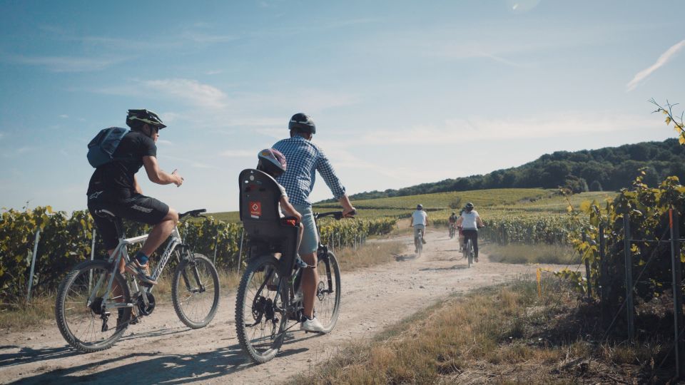Champagne Region : Ebike Tour With a Local Guide ! - Tasting the Champagne Wines