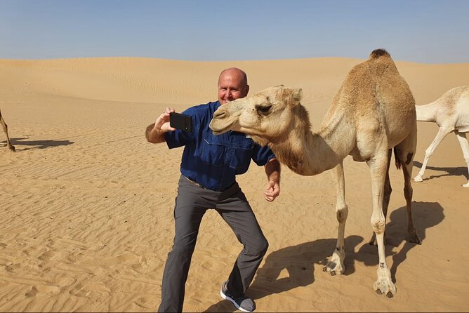 Desert Safari BBQ Dinner, Camel Ride & Sandboarding From Dubai - Traveler Capacity and Pricing
