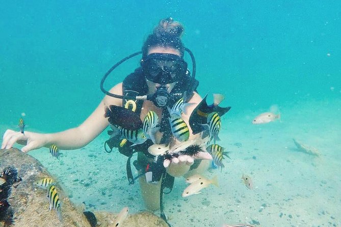Discover Scuba Diving in Dubai - Highly Rated by Participants