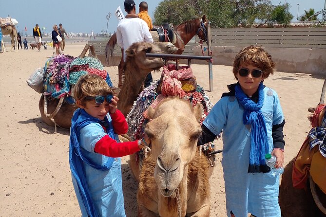 Essaouira Private Camel Ride (1 Hour). - Highlights of the Tour