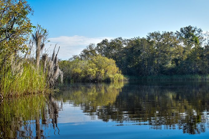 Everglades Guided Kayak Tour - Scenic Views and Wildlife