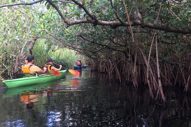 Everglades Kayak Safari Adventure Through Mangrove Tunnels - Conservation Efforts Highlighted