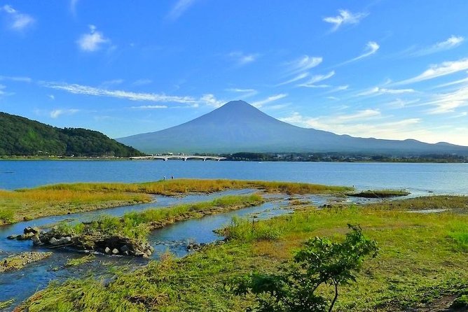 Experience the Stunning Nature of Mt.Fuji - Private Tour - Highlights of the Tour