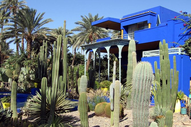 Exploring Marrakesh in Half-Day Sightseeing Tour - Discovering Majorelle Gardens