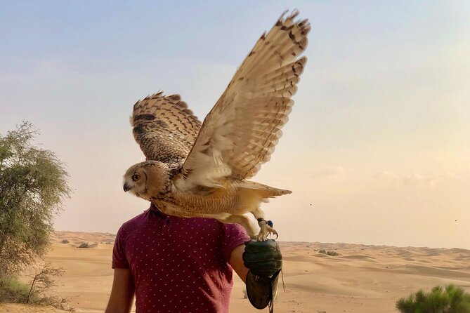 Falcon 1—Private Dubai Falconry Safari - Tour Inclusions and Details