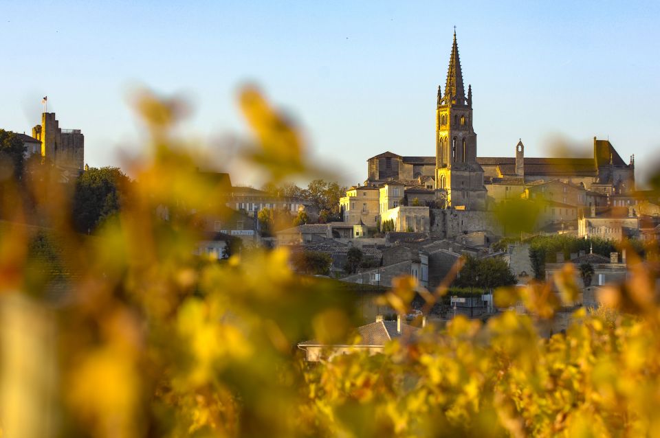 From Bordeaux: St. Emilion Village Half-Day Wine Tour - Highlights of the St Emilion Tour
