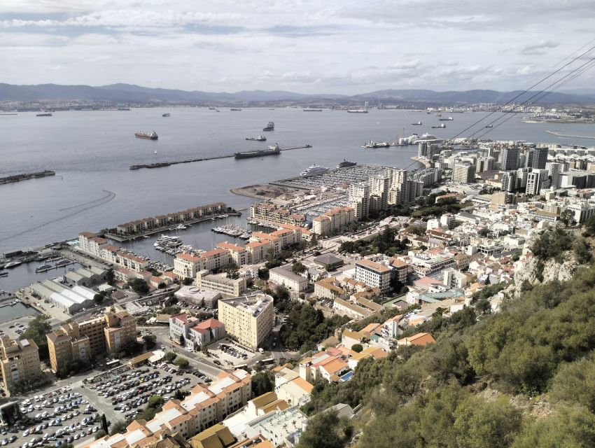 From Seville: Full-Day Private Tour of Gibraltar - Free Time and Meals