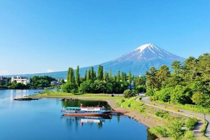 Full Day Private Tour With English Speaking Driver in Mount Fuji - Private Tour Experience