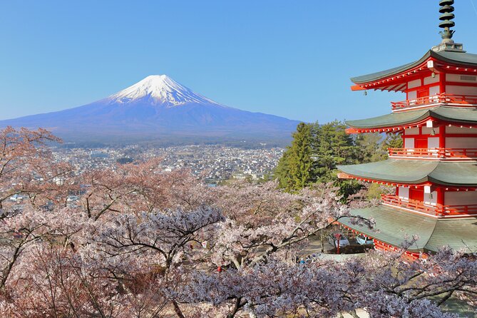 Full Day Tour to Mount Fuji in English - Tour Highlights