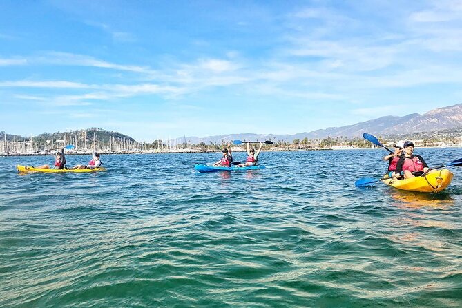 Guided Kayak Wildlife Tour in the Santa Barbara Harbor - Spectacular Views
