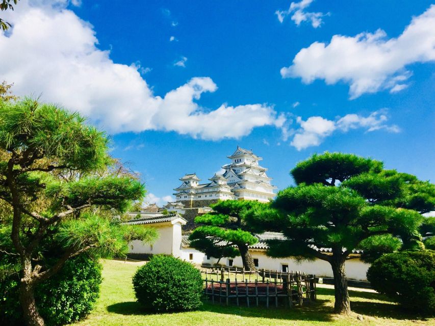 Himeji: Half-Day Private Guide Tour of the Castle From Osaka - Guided Tour of the Castle