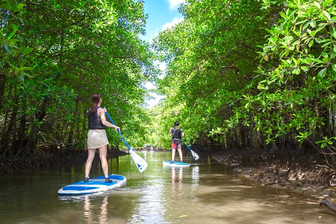 Iriomote Sup/Canoeing in a World Heritage Site & Limestone Cave Exploration - Exploring the Limestone Caves