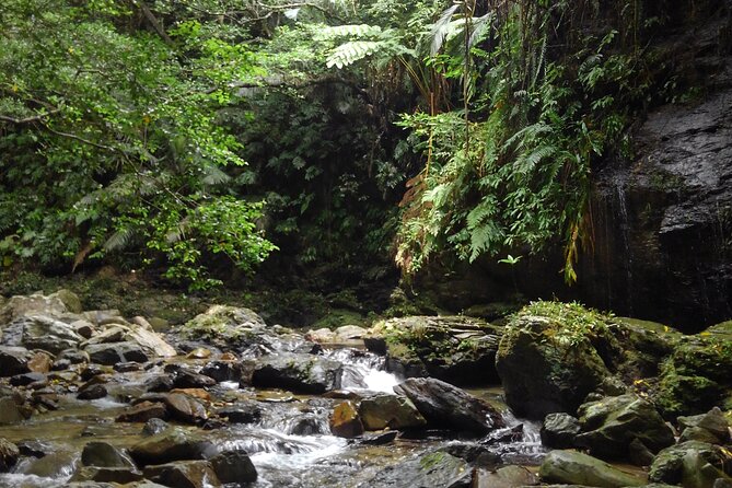Jungle River Trek: Private Tour in Yanbaru, North Okinawa - Booking and Cancellation Policy