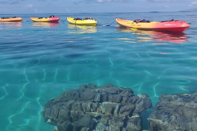 Kayak and Snorkel: Maui West Shore - Booking and Cancellation