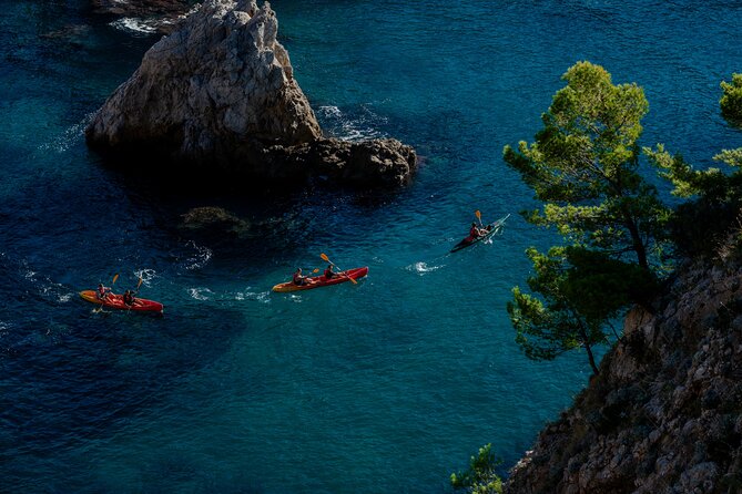 Kayaking Tour With Snorkeling and Snack in Dubrovnik - Safety and Group Guidance