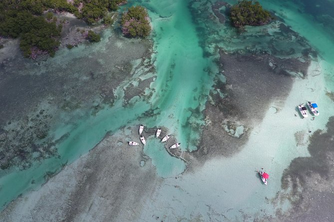 Key West Safari Eco Sandbar Tour Adventure With Snorkeling - Booking and Prices