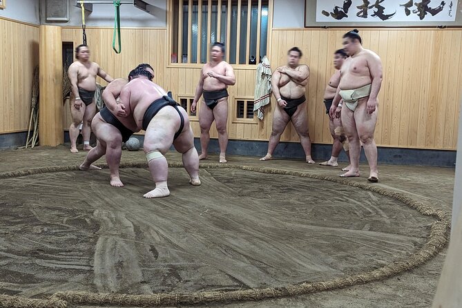 Morning Sumo Practice Viewing in Tokyo - Sumo Wrestlers and Stable